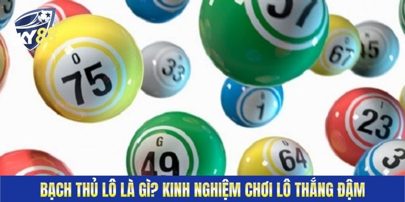 Bạch Thủ Lô Sky88 Là Gì? Kinh Nghiệm Chơi Lô Thắng Đậm