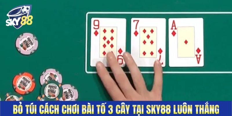 Bỏ Túi Cách Chơi Bài Tố 3 Cây Tại Sky88 Luôn Thắng