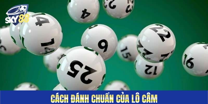Cách đánh chuẩn của lô câm 