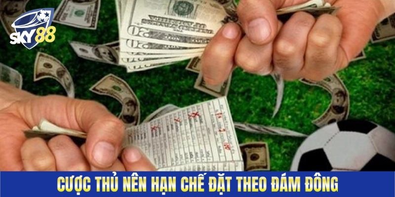 Cược thủ nên hạn chế đặt theo đám đông